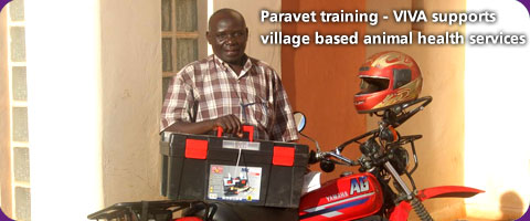 Paravet training - VIVA supports village based animal health services