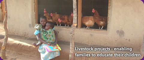 Livestock projects - enabling families to educate their children
